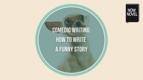write a funny story essay